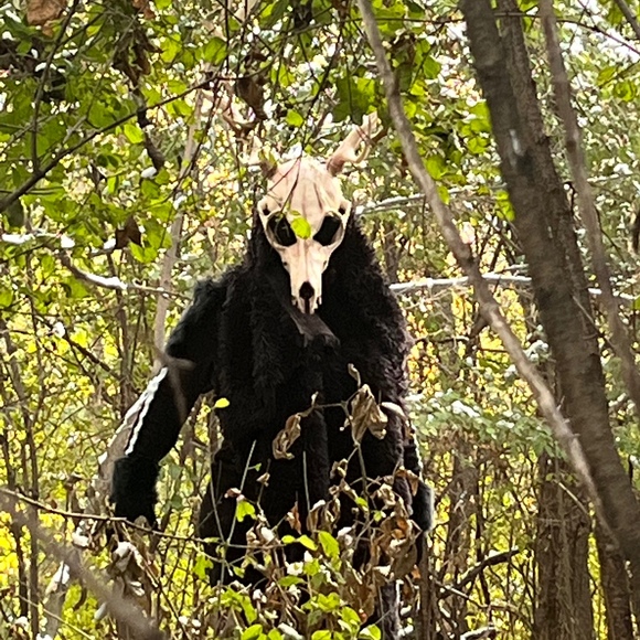 Meet your Posher, Posh - Picture 1 of 1